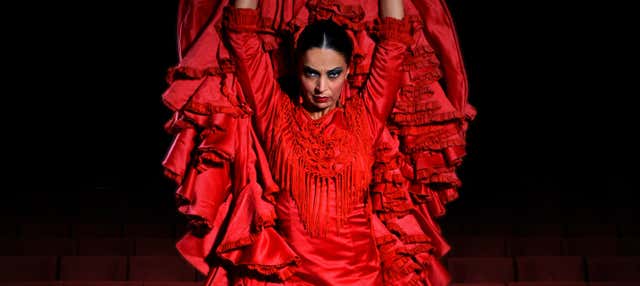 Teatro Flamenco Granada Show Tickets
