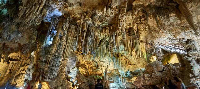 Costa Granadina + Caves of Nerja Day Trip