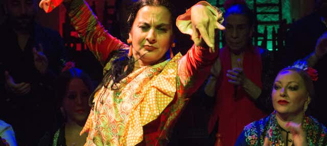Cuevas Los Tarantos: espectáculo flamenco en Granada
