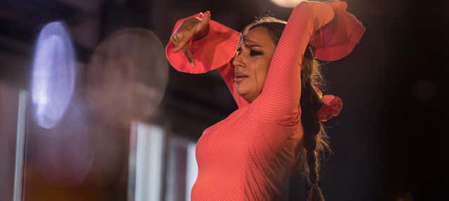 Flamenco em Albaicín: Jardines de Zoraya