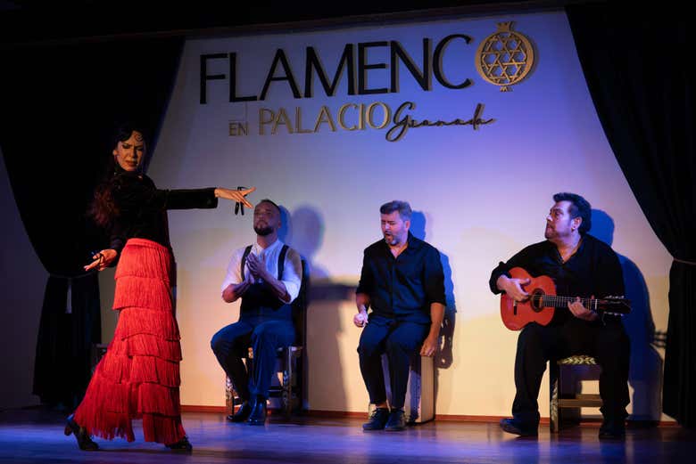 Imagen 7