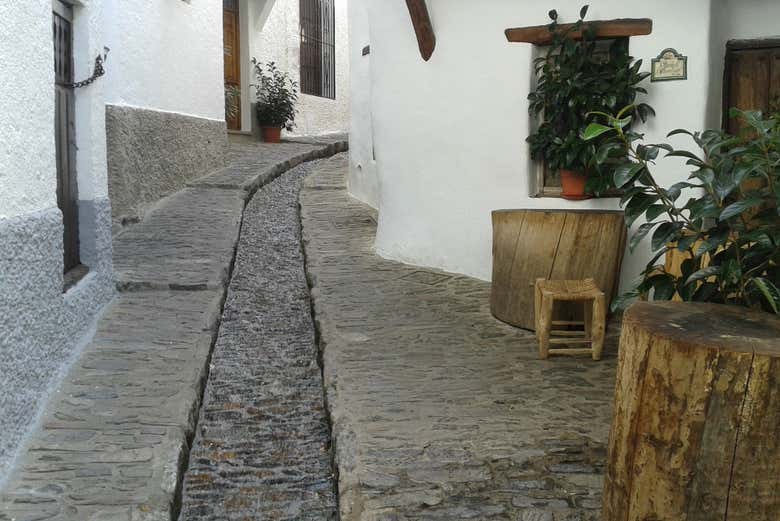 Imagen 3