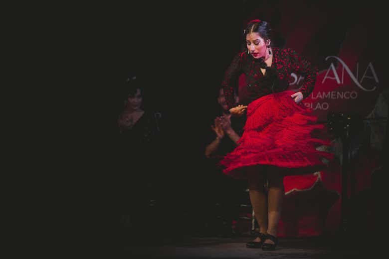 Imagen 6