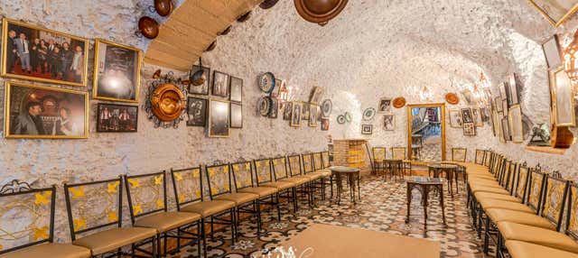 Cueva Los Amayas Tablao Flamenco Show