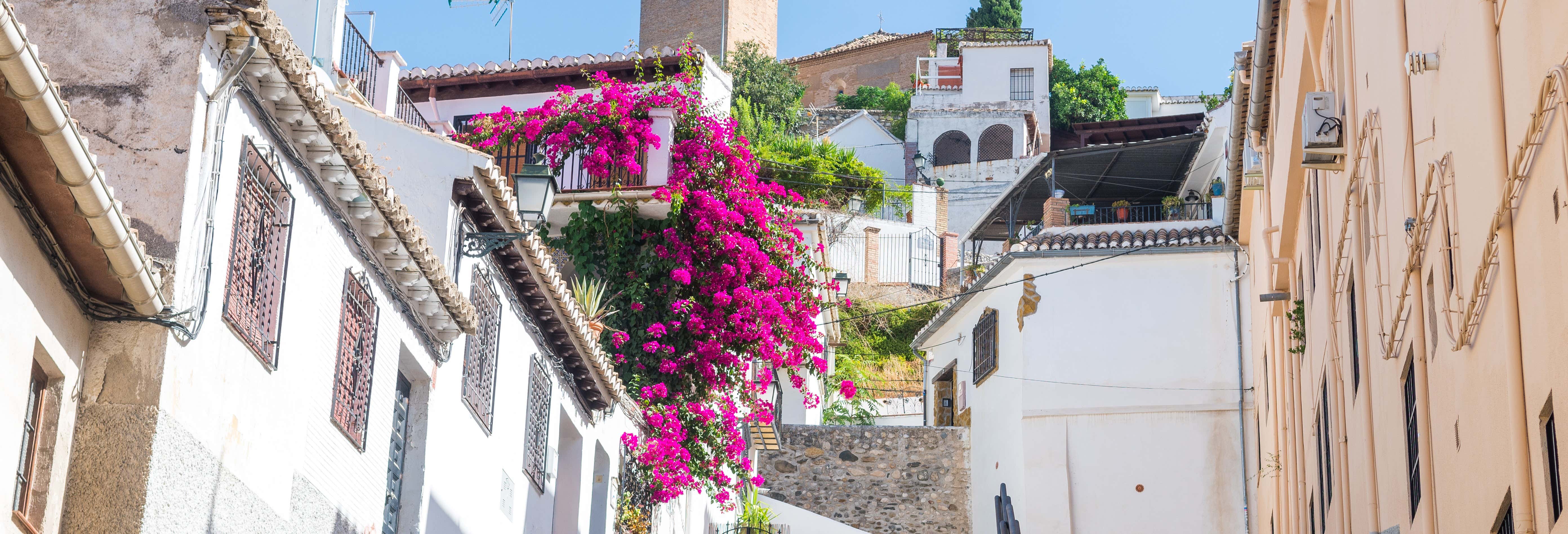 Tour por Granada, el Albaicín y el Sacromonte