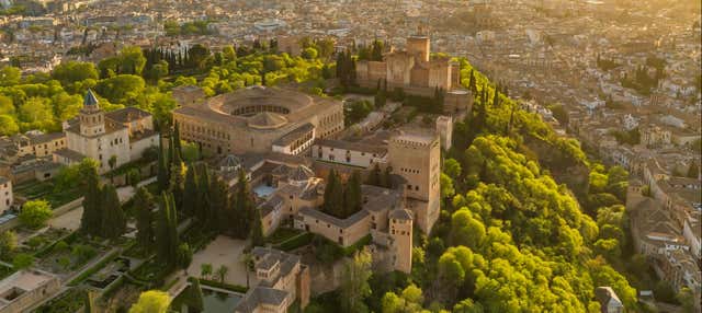 Visita guidata dell'Alhambra e dei Palazzi Nasridi + Granada City Pass