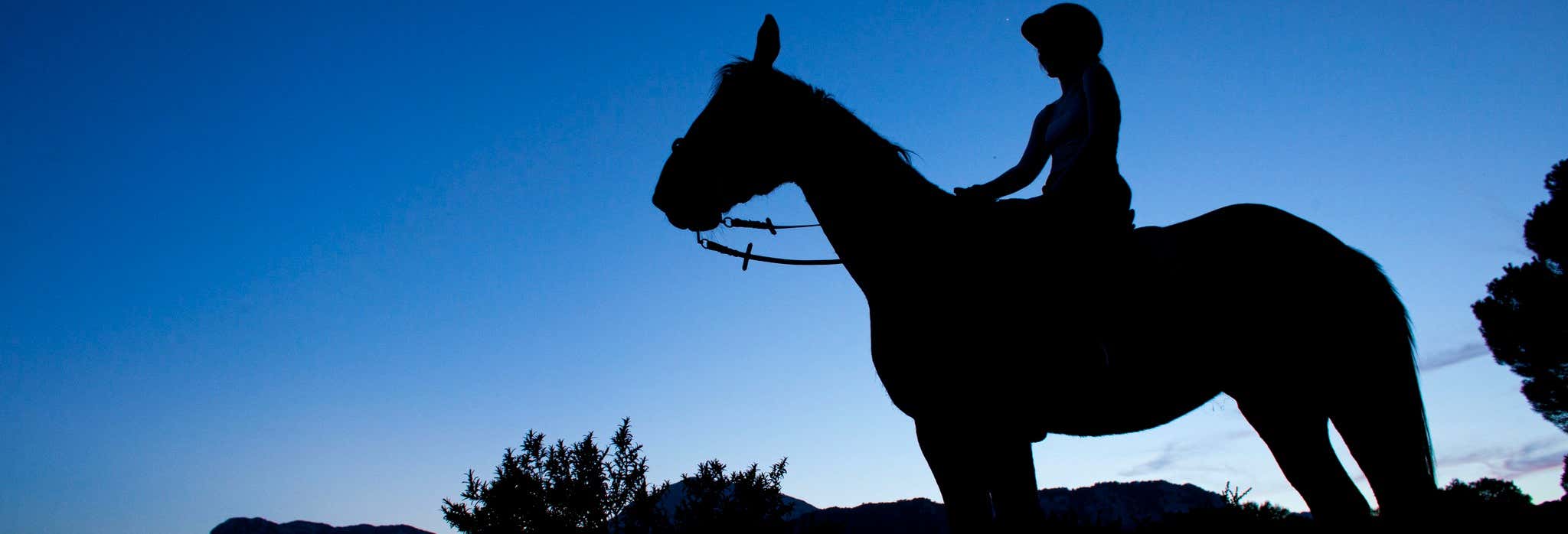 Evening Horse Ride in Sierra de Grazalema