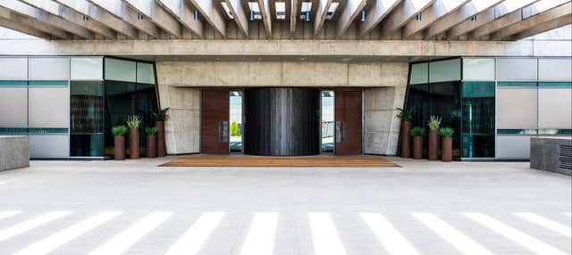 Visita alle cantine Portia