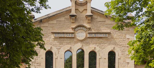 Visita alle cantine Bodegas Bilbaínas