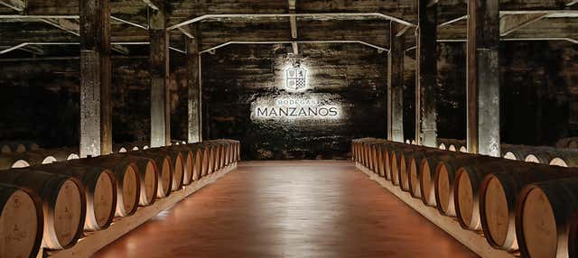 Visita alle Bodegas Manzanos Haro