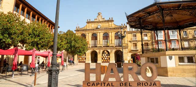 Visita guidata di Haro