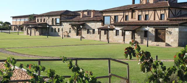 Visita della cantina Viña Arnáiz