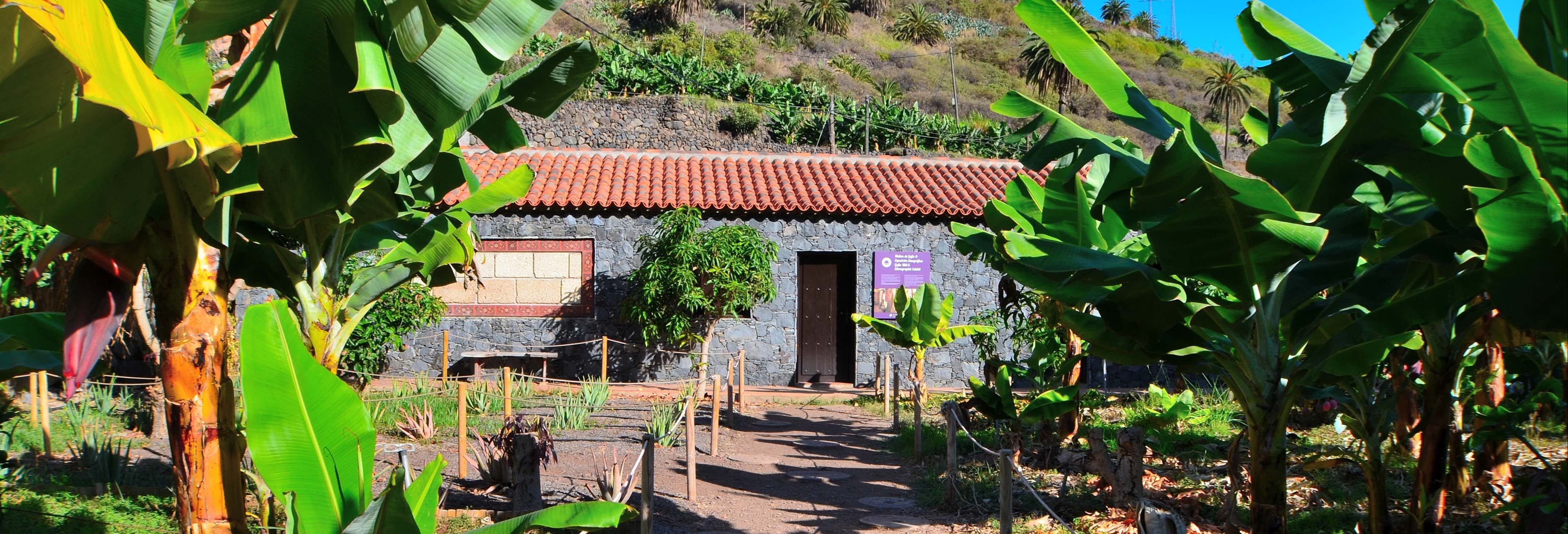 Ethnographic Park of La Gomera Ticket