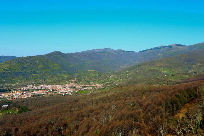 Imagen 8