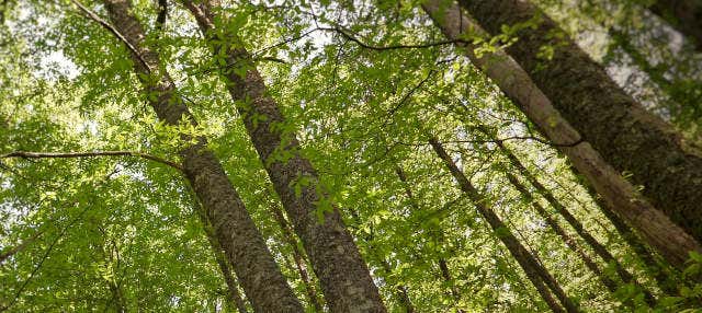 Trekking nella valle dell'Ambroz