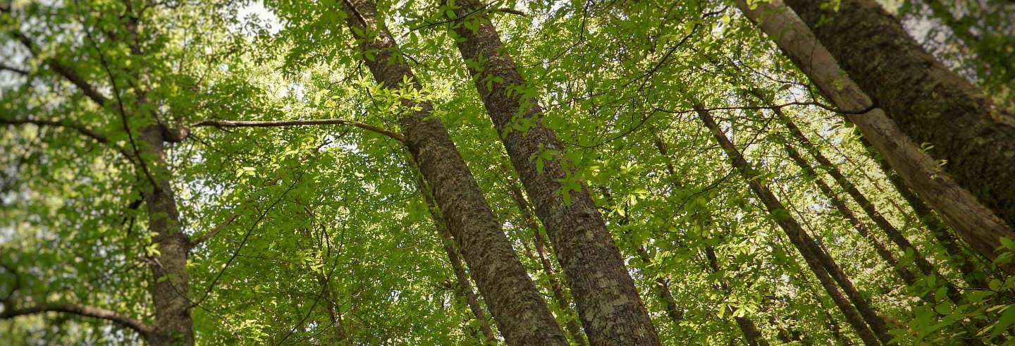 Trekking nella valle dell'Ambroz