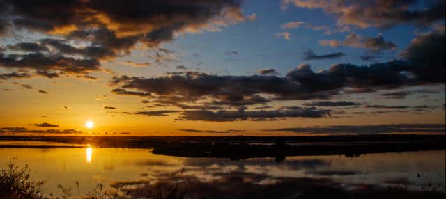 Crociera sull'estuario di Punta Umbría al tramonto