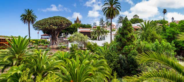 Free tour por Icod de los Vinos
