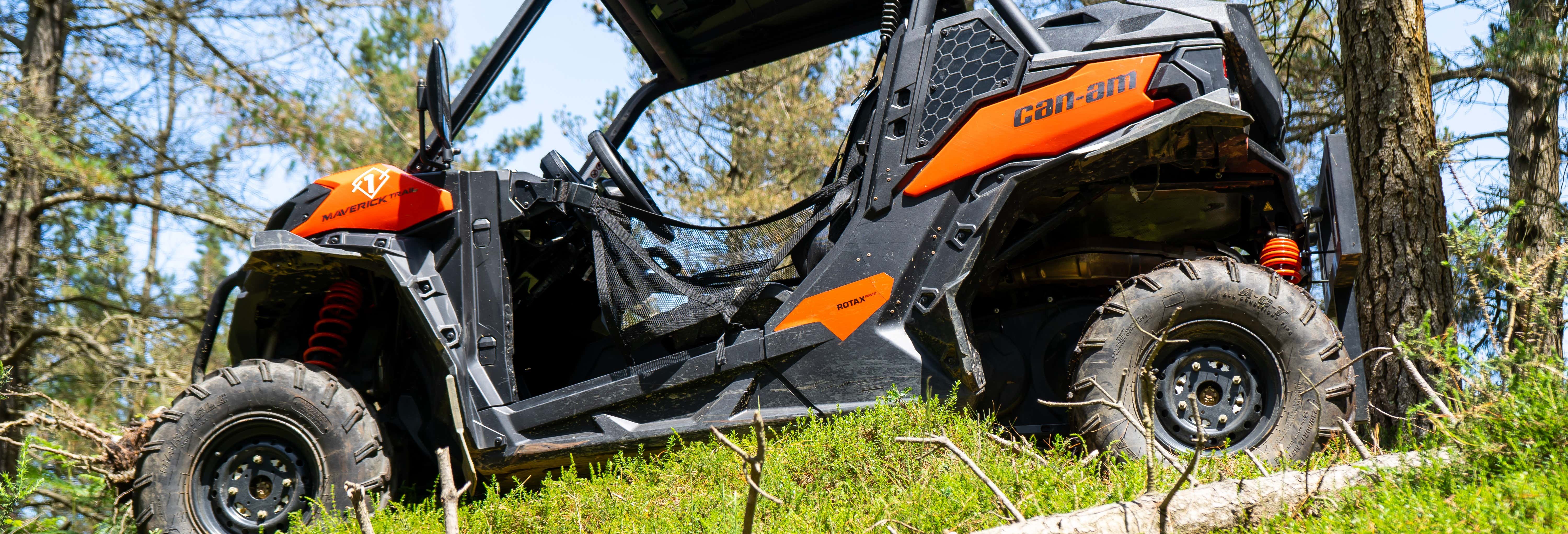 Tour di Piloña in buggy