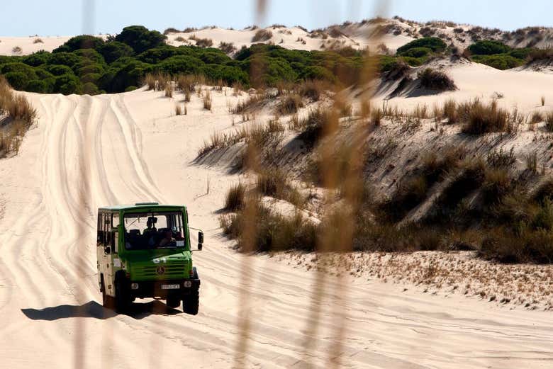 Escursione al Parco Nazionale di Doñana da Isla Canela