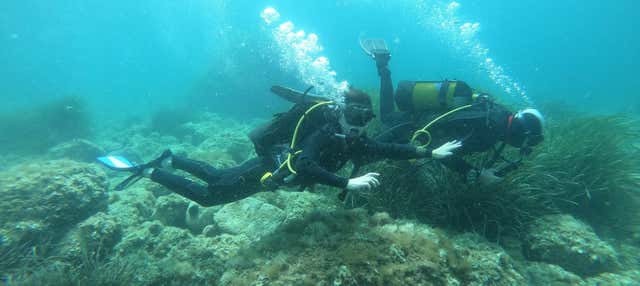 Immersione per principianti a Jávea