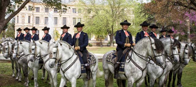 Spettacolo equestre a Jerez de la Frontera