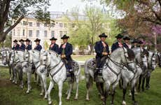 Jerez de la Frontera Horse Show