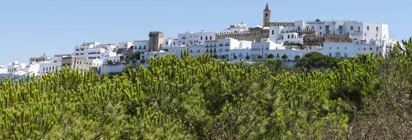 Vejer and Conil de la Frontera Tour