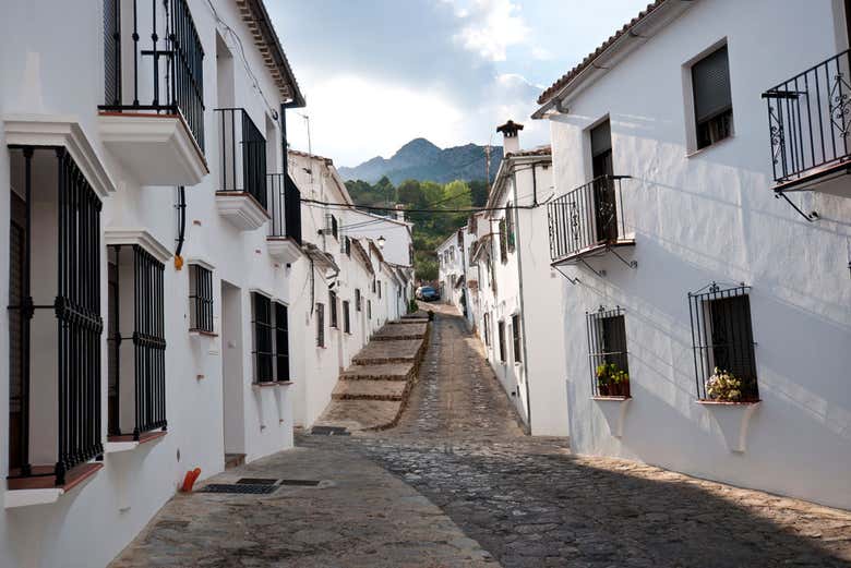 Imagen 2