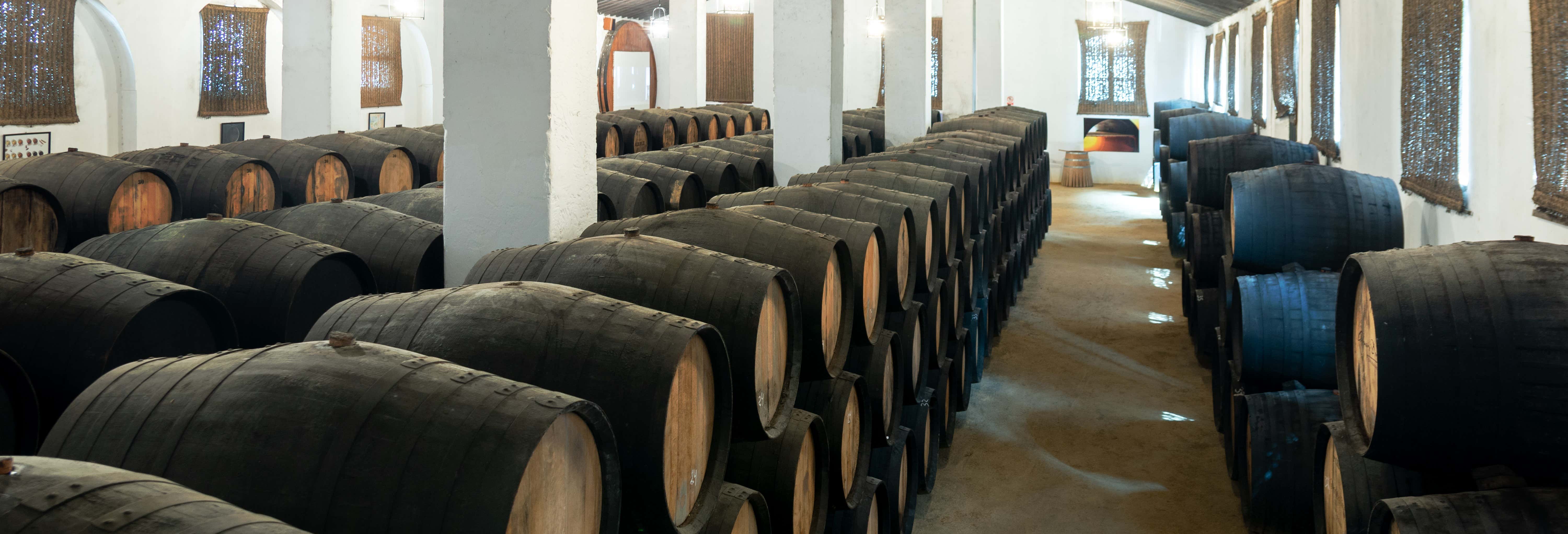 Bodegas Álvaro Domecq Guided Tour