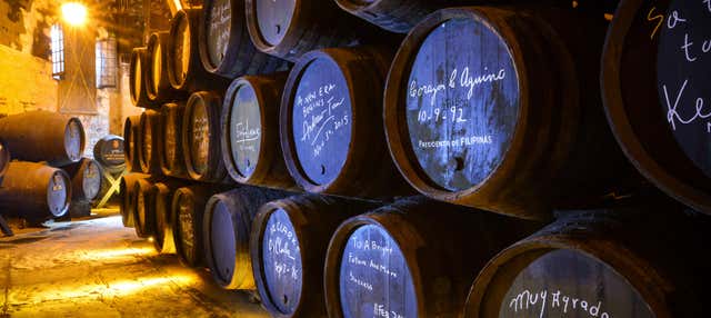 Visita alla cantina Bodegas Fundador