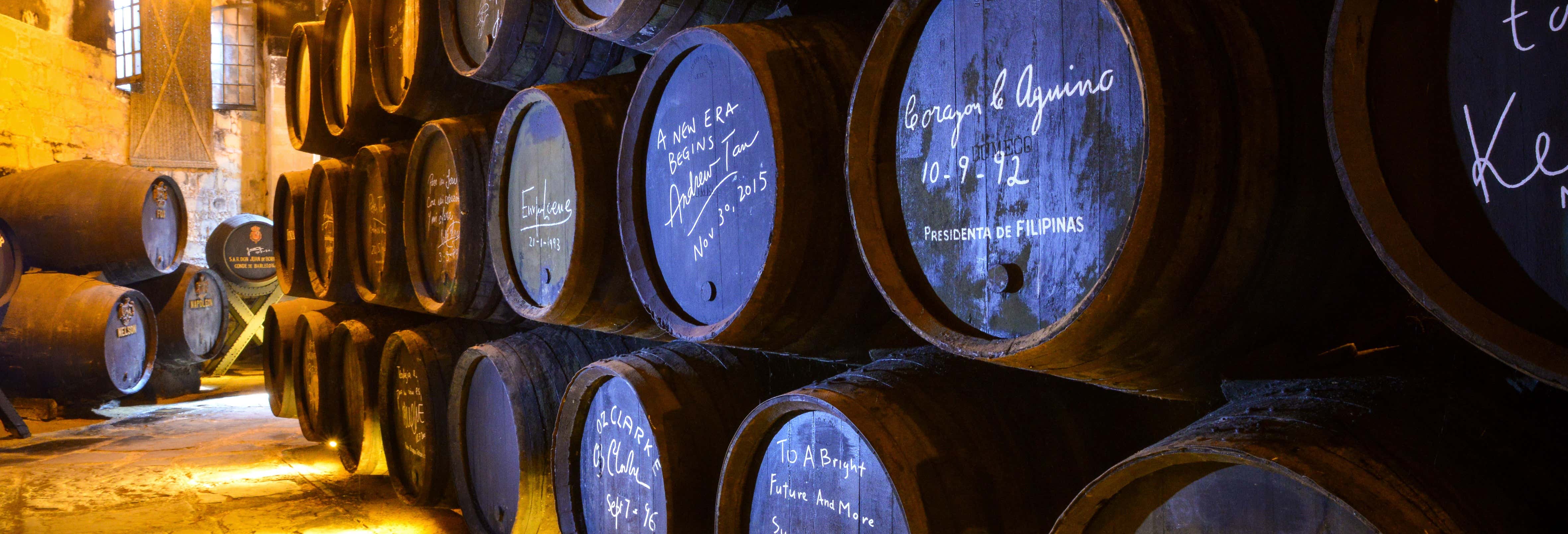 Visita alla cantina Bodegas Fundador