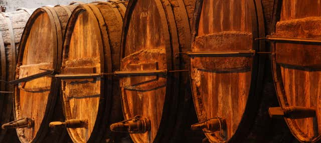 Visita alle cantine Tío Pepe