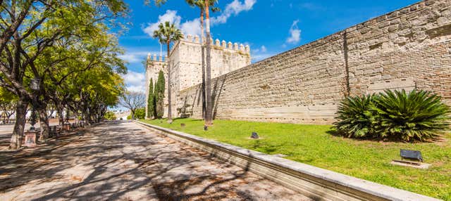 Visita guidata di Jerez