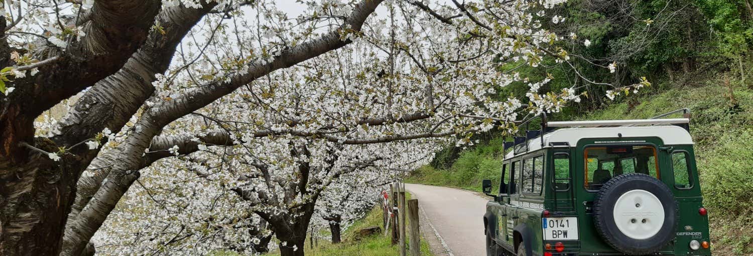 Tour della Garganta de los Infiernos e Los Pilones in 4x4