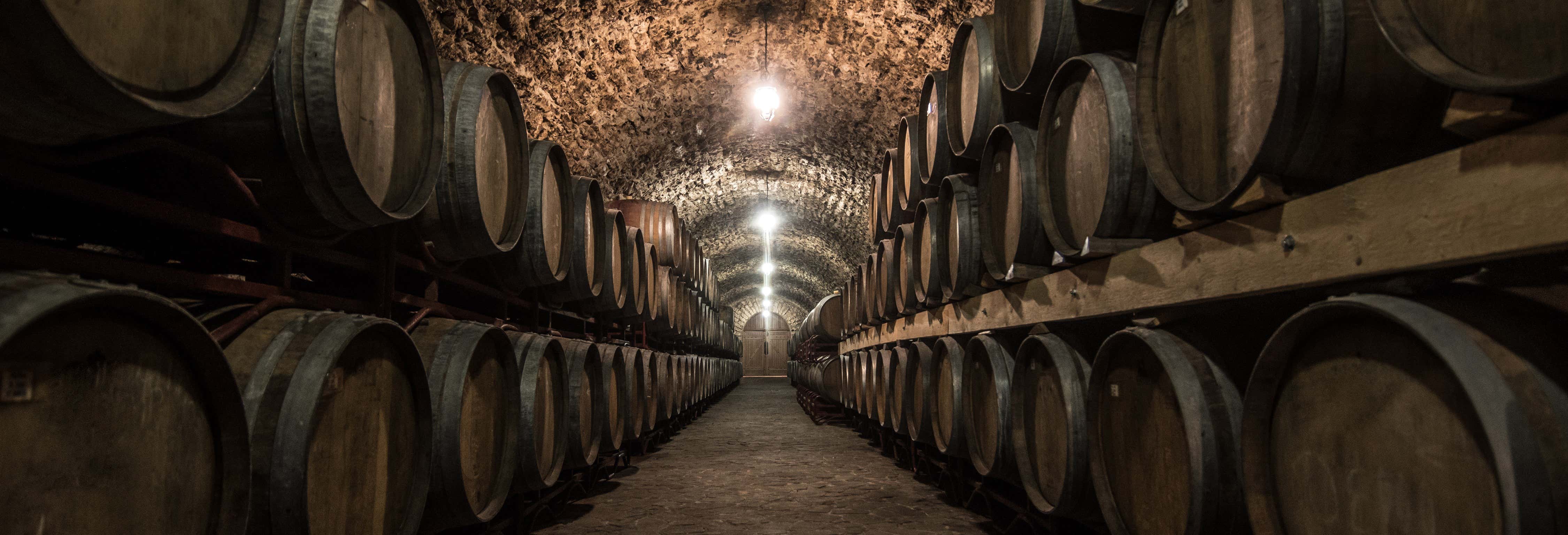 Wine Tasting at the Bodegas Silvano García