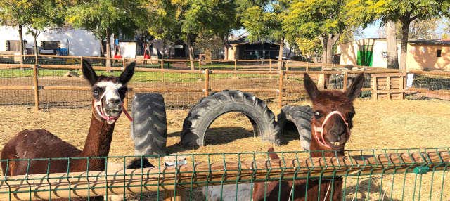 Biglietti per La Manreana
