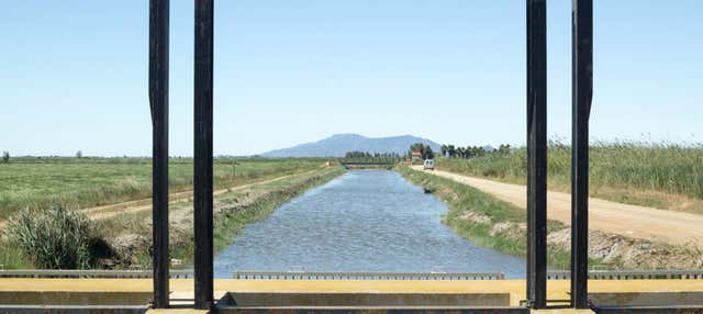 Birdwatching nel Delta dell'Ebro