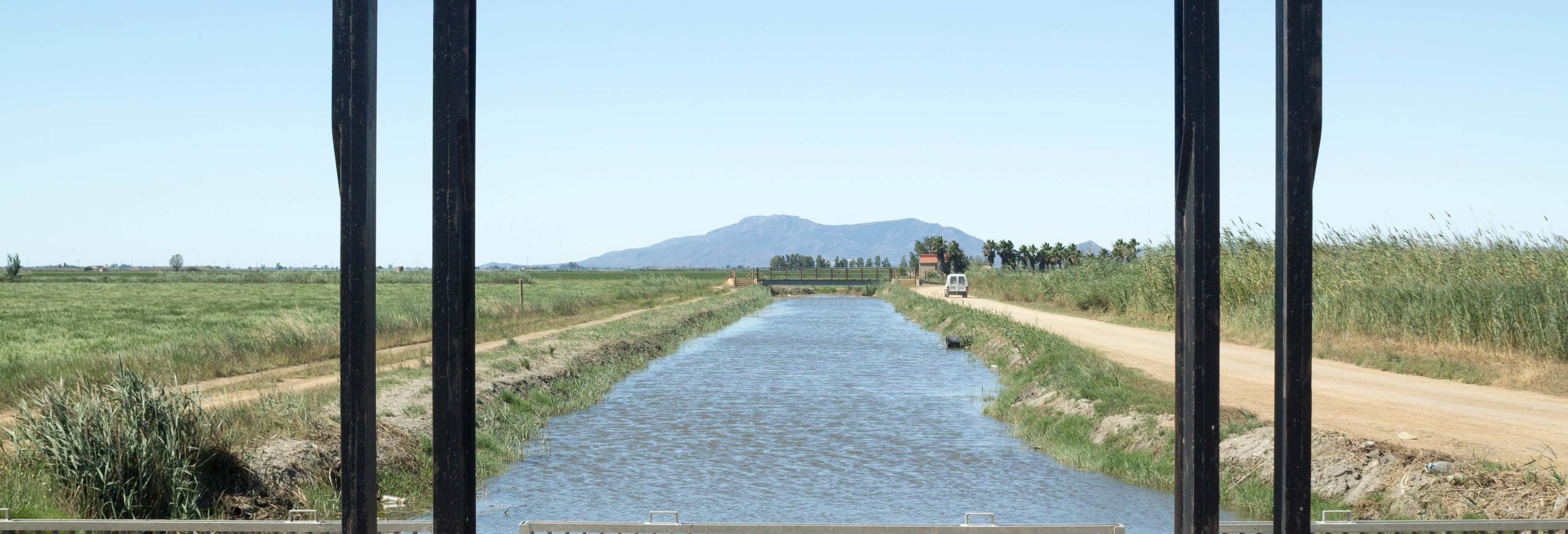 Ebro Delta Bird Watching Tour