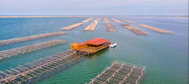 Giro in barca con degustazione di ostriche e cozze