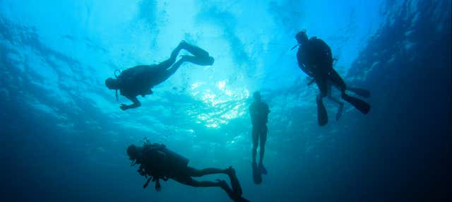 Immersione per principianti a La Ametlla de Mar