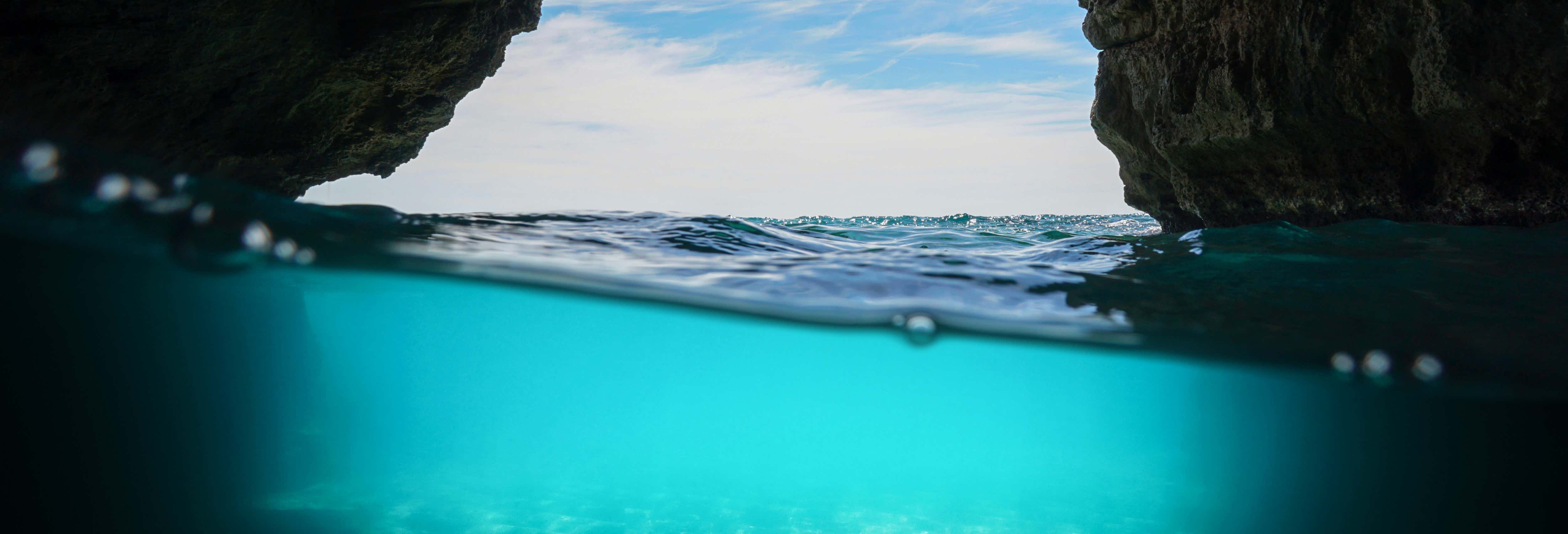 Sea Lion Cave Snorkelling