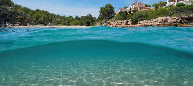 Tour di La Ametlla de Mar​​​ in kayak