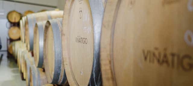 Visita guidata delle cantine Viñátigo