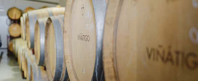 Visite des caves Viñátigo