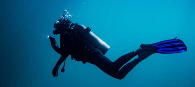 Immersione per principianti a La Lajita