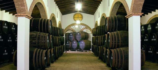 Visita alle cantine Rubio de Luis Felipe