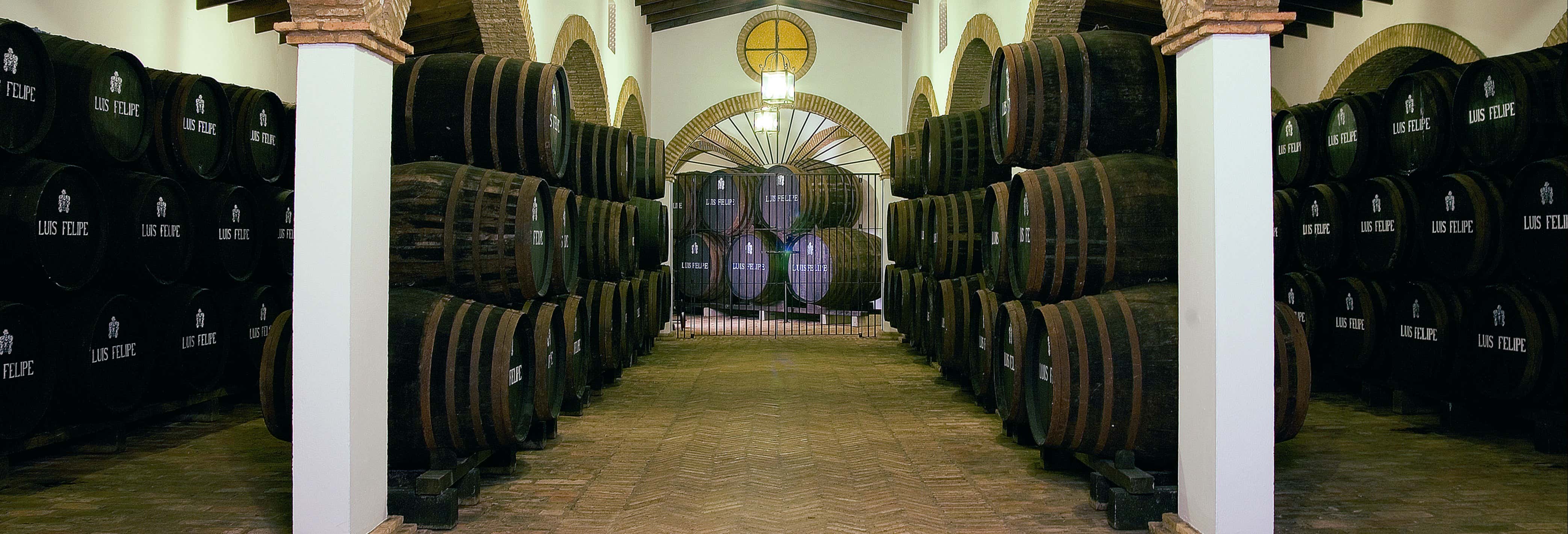 Bodegas Luis Felipe Tour