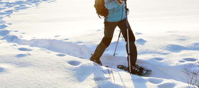 Passeggiata con le racchette da neve a Fuentes de Invierno