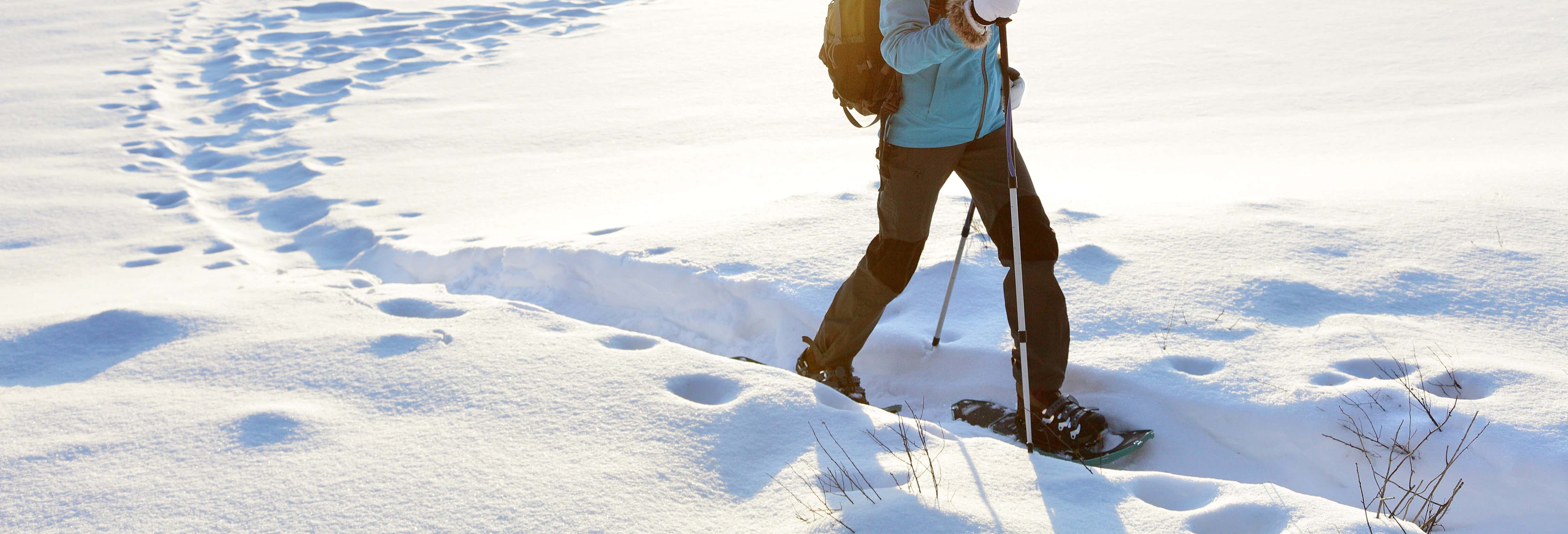 Fuentes de Invierno Snowshoeing Tour